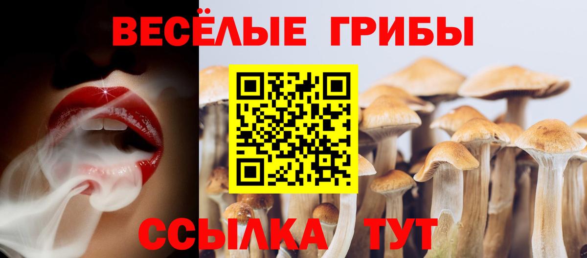 Псилоцибиновые грибы Magic Shrooms  Псилоцибиновые грибы мухоморы  Мегион  Вход с VPN 